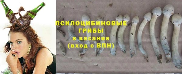 амф Медногорск