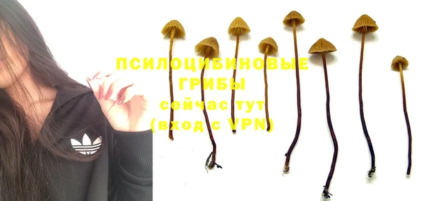 первитин Медвежьегорск