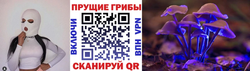 Галлюциногенные грибы Cubensis Барнаул