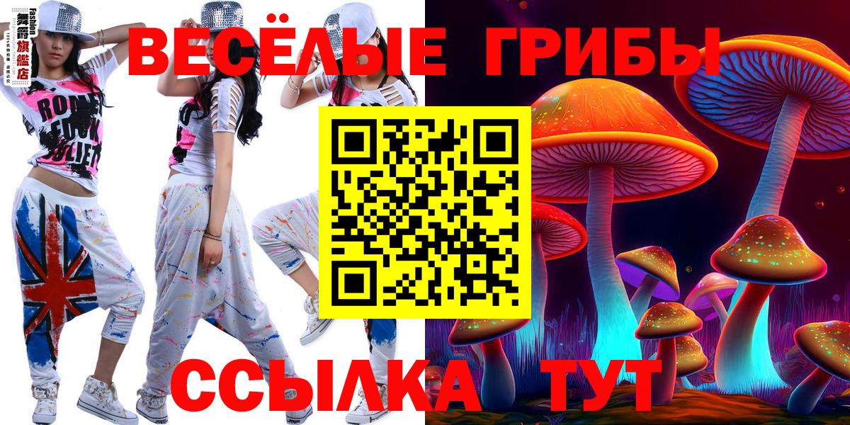 Псилоцибиновые грибы Psilocybe  Вход с VPN  Барнаул 